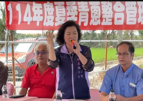 ▲彰化芳苑蔥農使用木黴菌成功挺過颱風及暴雨。（圖／記者唐詠絮翻攝）