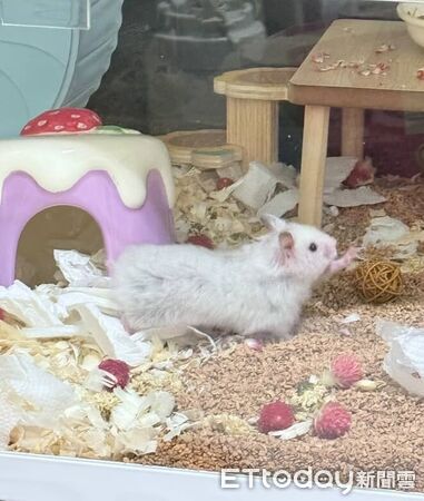 ▲。（圖／Threads@chenw6637提供，請勿隨意翻拍，以免侵權。）