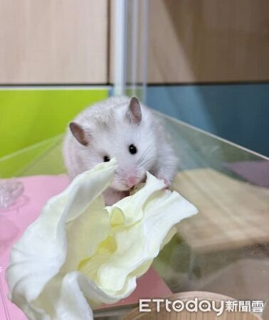 ▲。（圖／Threads@chenw6637提供，請勿隨意翻拍，以免侵權。）