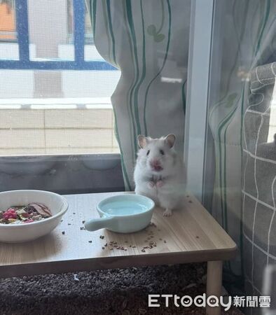 ▲。（圖／Threads@chenw6637提供，請勿隨意翻拍，以免侵權。）