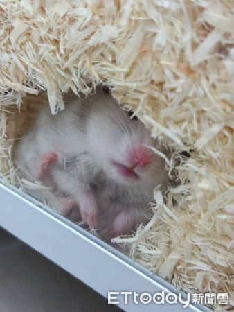 ▲。（圖／Threads@chenw6637提供，請勿隨意翻拍，以免侵權。）