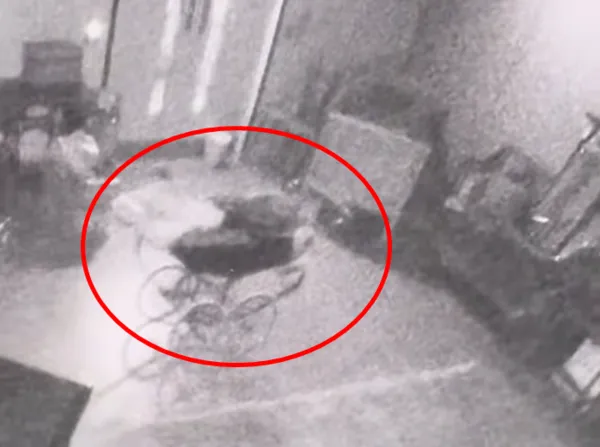 ▲▼             。（圖／翻攝自TikTok）