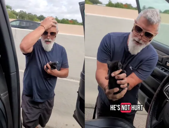 公路上撿到小貓。（圖／翻攝自Tiktok@cheffrancoantonio）