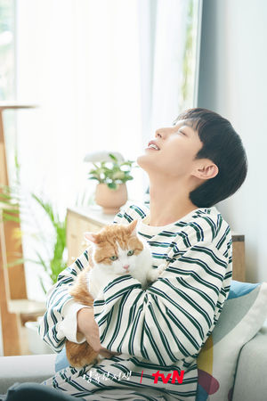 ▲▼「5個重點」教你保持平常心。（圖／翻攝自FB/tvN DRAMA）