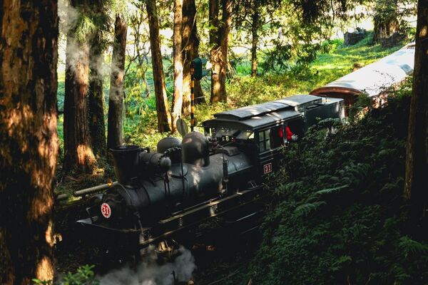 ▲▼阿里山沼平車站蒸汽火車。（圖／阿里山賓館提供）