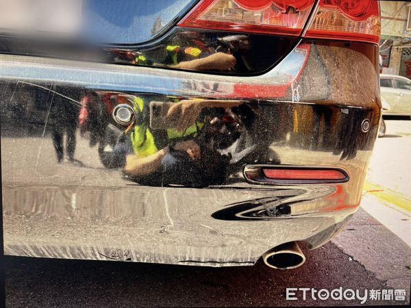 ▲去年6月中山區中原街發生一起夫妻酒駕頂替案件，兩人均遭公共危險罪送辦判刑。（圖／記者張君豪翻攝）