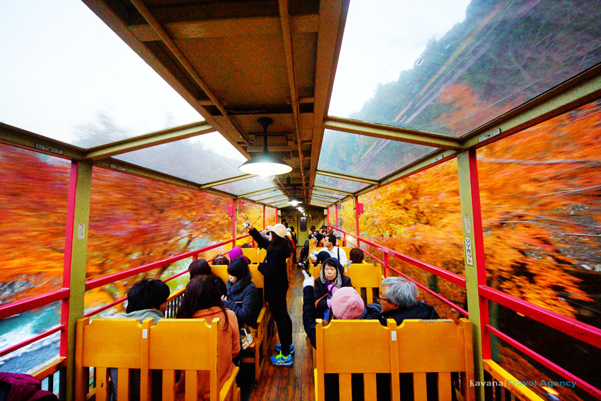 京都 嵐山 Landscape Miniature 桜の嵯峨野トロッコ列車 特別カラー 日本最大級の品揃え Miniature 京都 嵐山 Landscape Miniature 桜の嵯峨野トロッコ列車 特別カラー 日本最大級の品揃え Miniature