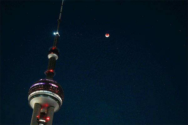 ▲月全食「血月」與上海東方明珠塔。（圖／翻攝澎湃新聞）