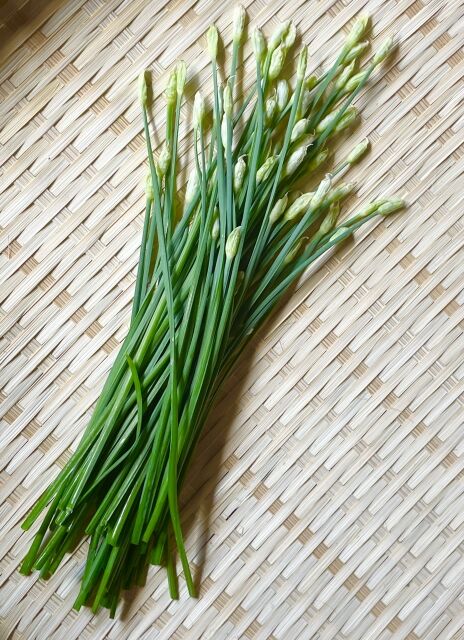 ▲▼中元後,食物,扶陽。（圖／photoAC）