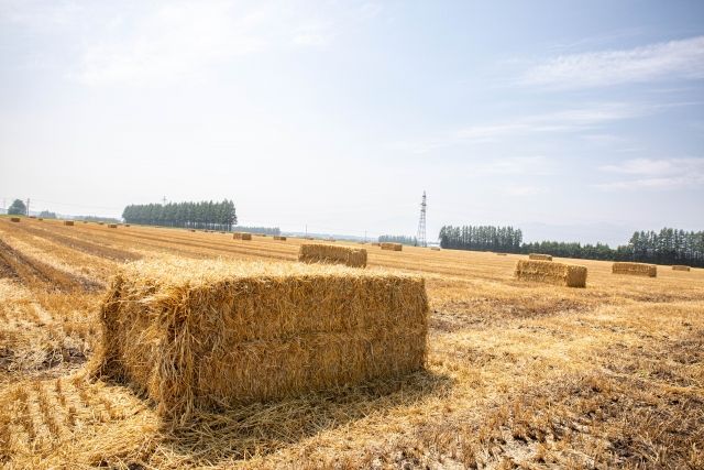 ▲▼混凝土,農廢物,強度提升。（圖／取自photoAC）