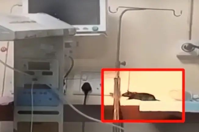 ▲▼             。（圖／翻攝自NDTV）