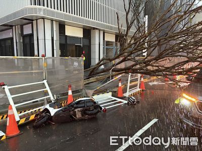 快訊/台中大豪雨路樹倒塌!釀1騎士受傷1轎車被壓