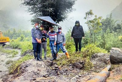 越籍山老鼠身手矯健盜神木　連原住民警察都抓不到