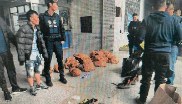 南投檢警8月查獲越南籍移工將千年神木切塊的破案現場。（警局提供）