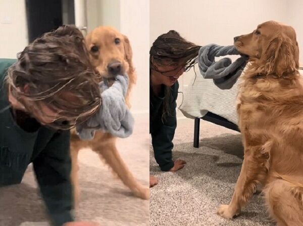 ▲。（圖／翻攝自TikTok／@goldenfinny）