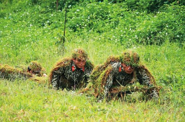 越南人善於叢林生存，逃逸移工躲在深山也能生存。（示意圖，翻攝danviet網）