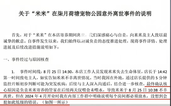 ▲薩摩耶被綁長達「66小時」沒水喝！　寄養寵物店：不就死一條狗。（圖／翻攝自抖音／青木川（DOG））