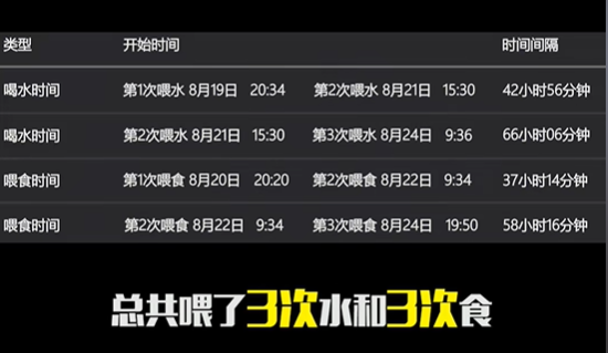 ▲薩摩耶被綁長達「66小時」沒水喝！　寄養寵物店：不就死一條狗。（圖／翻攝自抖音／青木川（DOG））