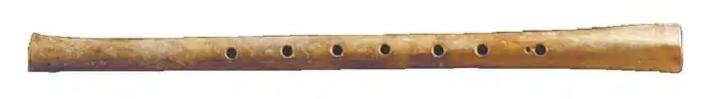 ▲骨笛。（圖／翻攝河南日報）