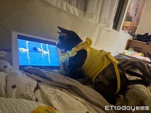 ▲。（圖／Threads@albee.nc_222提供，請勿隨意翻拍，以免侵權。）