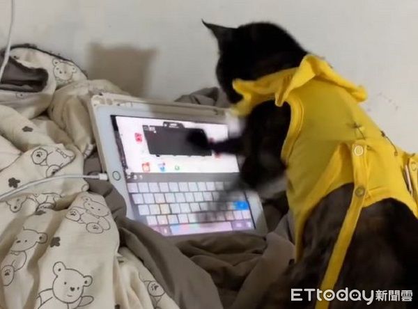 ▲。（圖／Threads@albee.nc_222提供，請勿隨意翻拍，以免侵權。）