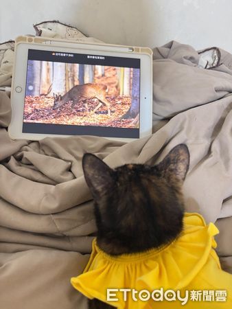 ▲。（圖／Threads@albee.nc_222提供，請勿隨意翻拍，以免侵權。）