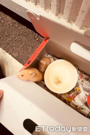 黃金鼠被丟在超市。（圖／Threads@_lry.3.27提供）