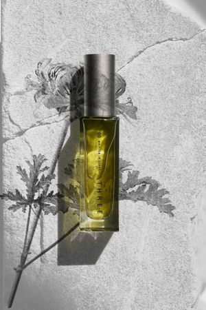 ▲▼正面冥想。（圖／品牌提供）