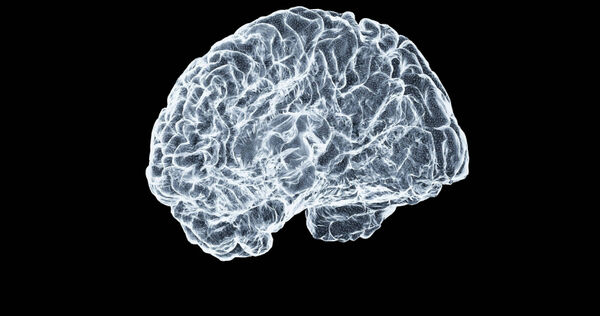 大腦可以看出性格。（示意圖／unsplash）