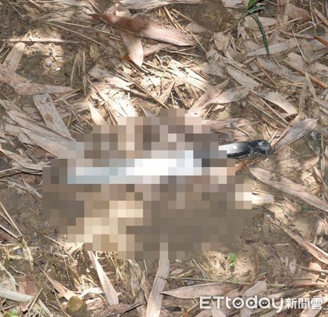 ▲▼             。（圖／民眾提供）