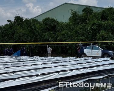獨／逆子遭刺殺慘無全屍！野狗啃掉遺體腳趾　坐立屍旁不願走