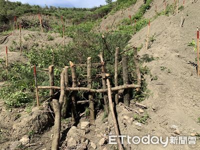 墾丁海域水色變化矛頭指向造林　屏東林業分署澄清
