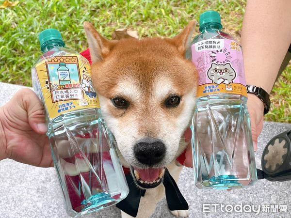 ▲台鹽公司宣布，旗下明星商品「台塩海洋鹼性離子水」攜手超人氣IP「柴語錄Shibasays」，推出四款限定瓶標與專屬插畫紙箱。（圖／記者林東良翻攝，下同）