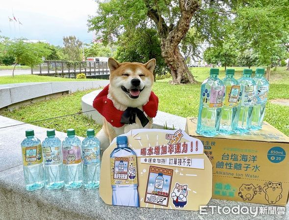 ▲台鹽公司宣布，旗下明星商品「台塩海洋鹼性離子水」攜手超人氣IP「柴語錄Shibasays」，推出四款限定瓶標與專屬插畫紙箱。（圖／記者林東良翻攝，下同）