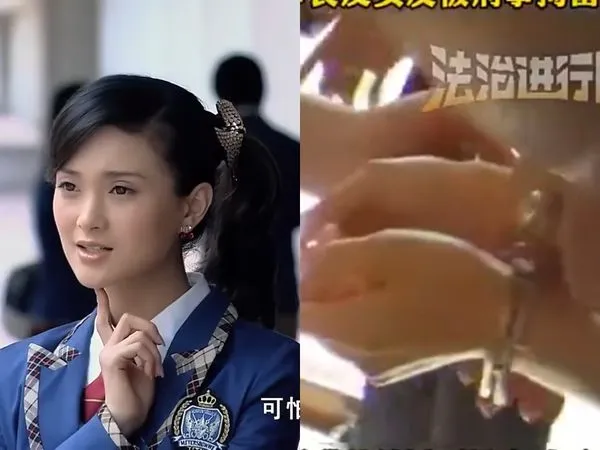 ▲▼大陸女星與富商男友涉嫌內線交易被上銬逮捕，網友挖出女星是《一起來看流星雨》的楚軼男。（圖／翻攝自微博）