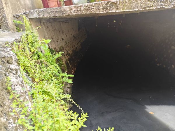 ▲線西鄉79歲阿嬤失蹤10天，今在和美鎮一處水溝內尋獲。（圖／議員賴清美提供）