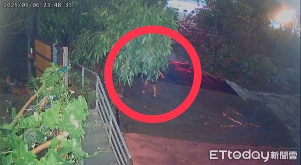 ▲▼             。（圖／民眾提供）