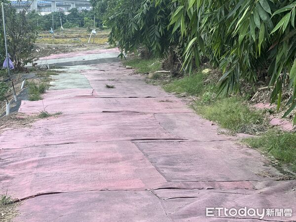 ▲獨／死無全屍！台中男打母又遇刺殺　野狗啃掉遺體腳趾...伴屍不肯走。（圖／記者許權毅攝）