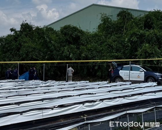 ▲▼獨／死無全屍！台中男打母又遇刺殺　野狗啃掉遺體腳趾...伴屍不肯走。（圖／民眾提供）
