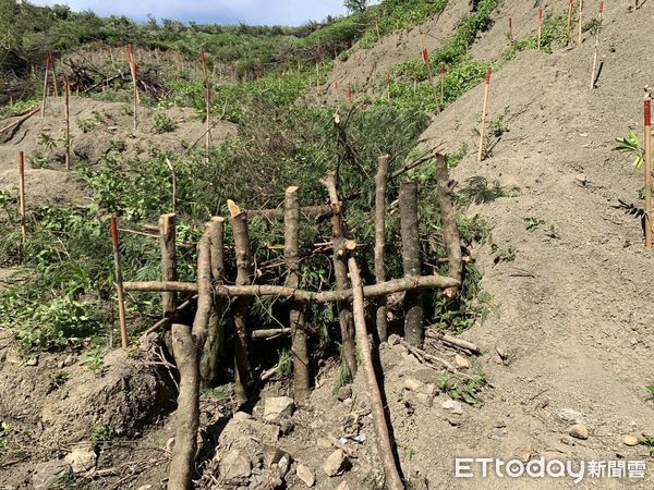 ▲環3造林地點為恆春鎮鼻子頭段。（圖／林業及自然保育署屏東分署提供）