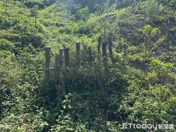 ▲環3造林地點為恆春鎮鼻子頭段。（圖／林業及自然保育署屏東分署提供）