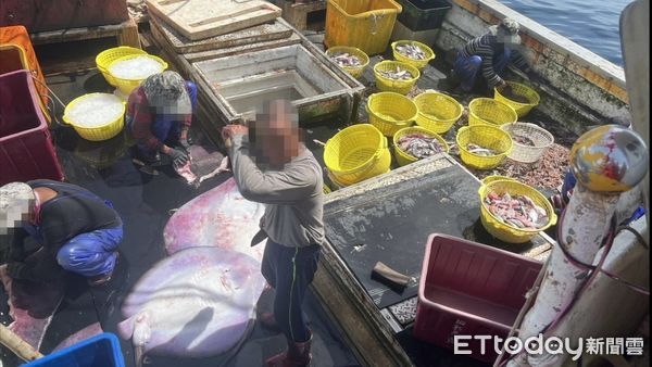 ▲鼻頭外2.3浬查獲違規拖網漁船。（圖／記者郭世賢翻攝）