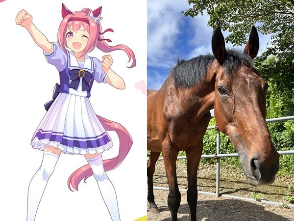 ▲▼春烏菈菈離世享耆壽29歲　「屢敗屢戰」賽馬娘人氣不墜。（圖／翻攝umamusume、引退馬協会）