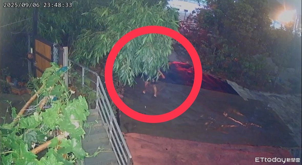 獨／殺人棄刀淡定畫面曝！逆子慘被冷血男砍死　解剖結果曝光