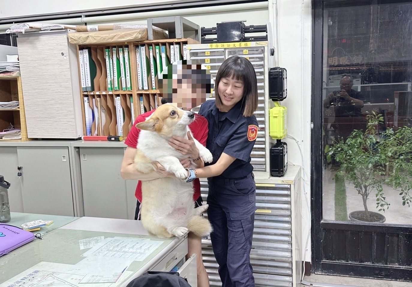 ▲枋寮警分局警員葉宜瑄迅速幫柯基犬找到飼主。（圖／記者陳崑福翻攝）