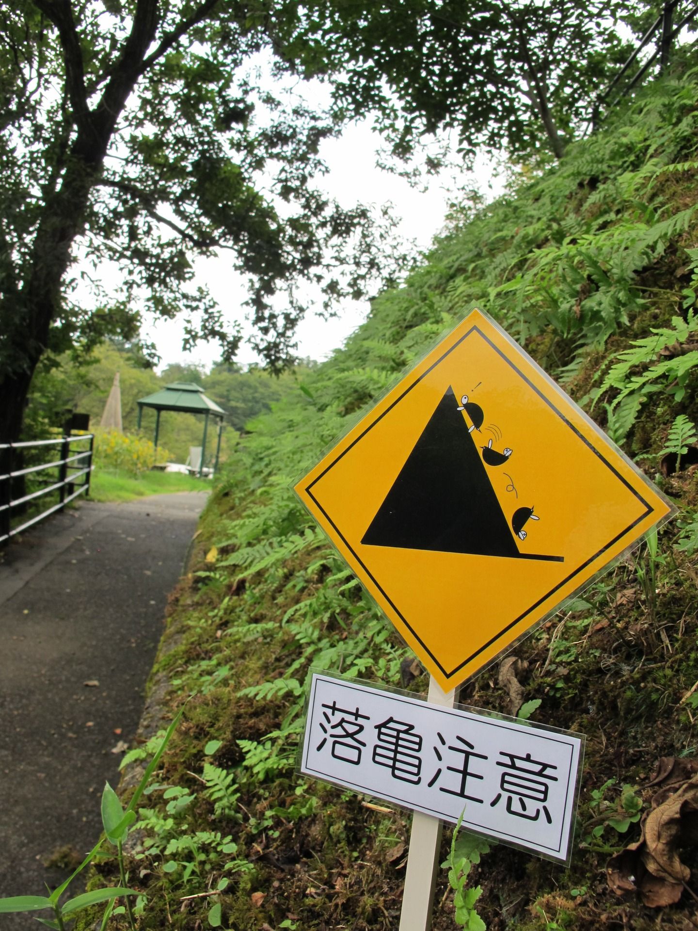 ▲落龜注意。（圖／翻攝自広島市植物公園）