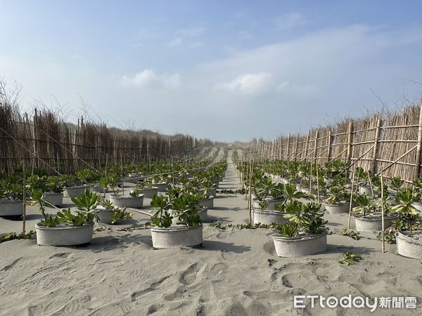 ▲▼亞太永續博覽會登場，台中市政府分享全國首創都市降溫3招。（圖／台中市政府提供，下同）