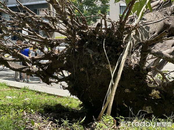▲▼             。（圖／記者許權毅攝）
