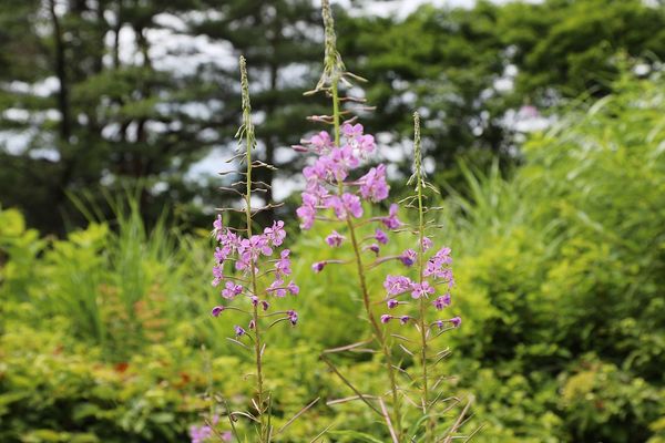 ▲▼長走風穴／Nagabashiri Wind Caves Eco-Museum。（圖／部落客VIVIYU小世界授權提供）