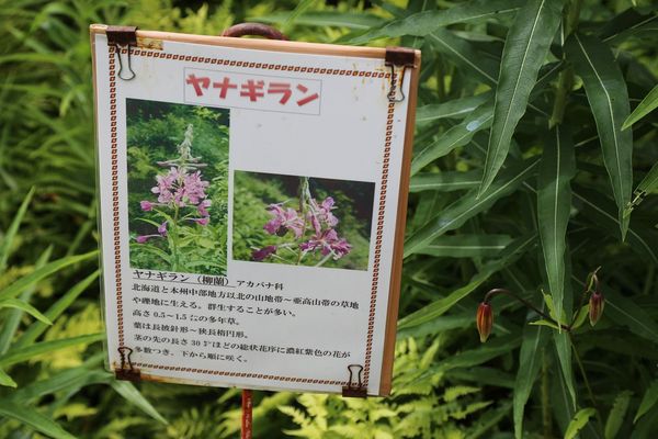 ▲▼長走風穴／Nagabashiri Wind Caves Eco-Museum。（圖／部落客VIVIYU小世界授權提供）